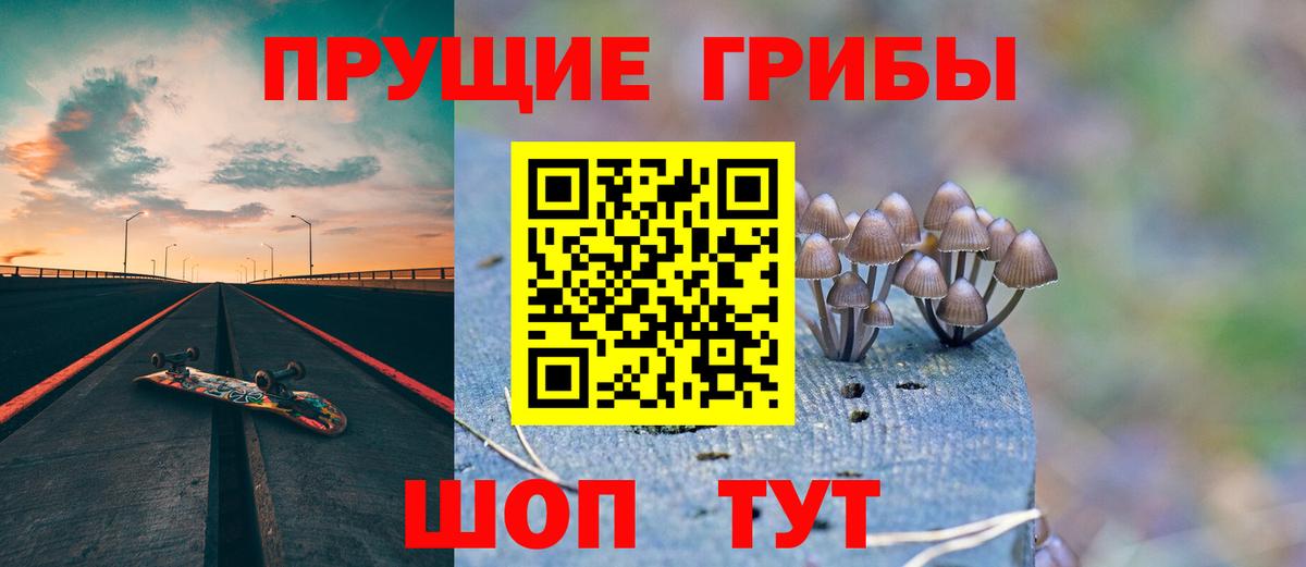 Псилоцибиновые грибы Cubensis  Вход с VPN  наркота  Семилуки 